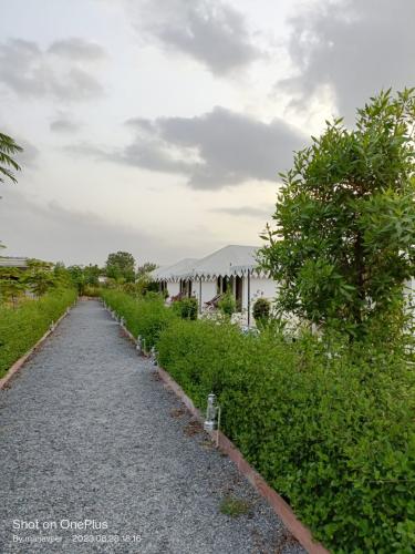 jawai-Luxury-Tent-15